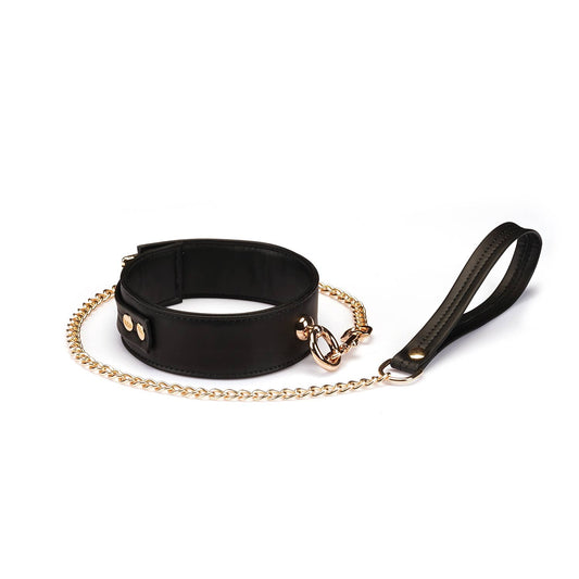 Black Organosilicon Collar with Leash